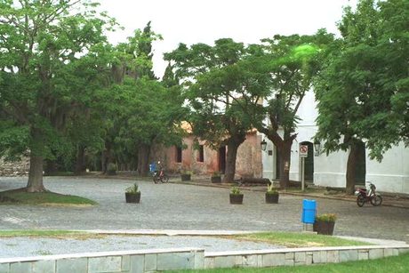 Photo 24