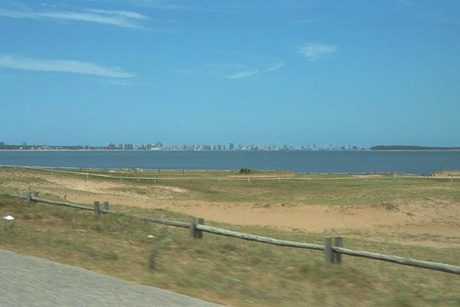 Photo 44