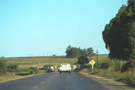 Photo 47
