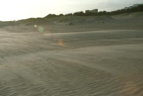 Photo 35