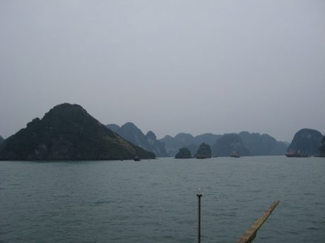 Photo 40