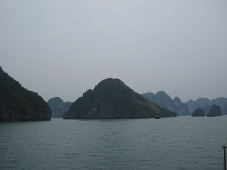 Photo 42