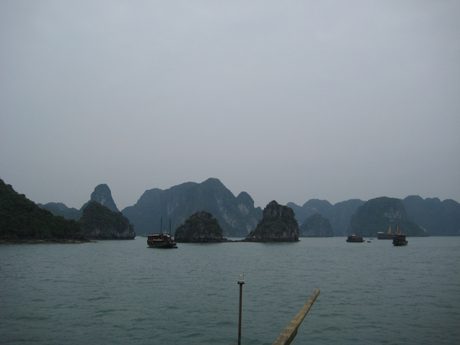 Photo 44
