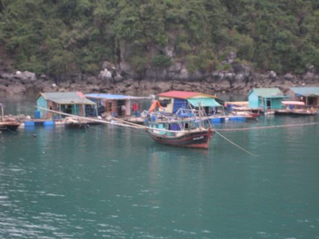 Photo 106