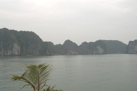 Photo 331