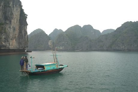 Photo 387