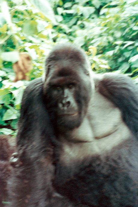 Photo 49